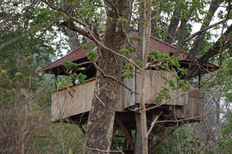 Treehouse in the landscape